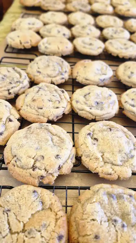 Galletón Choco Chips